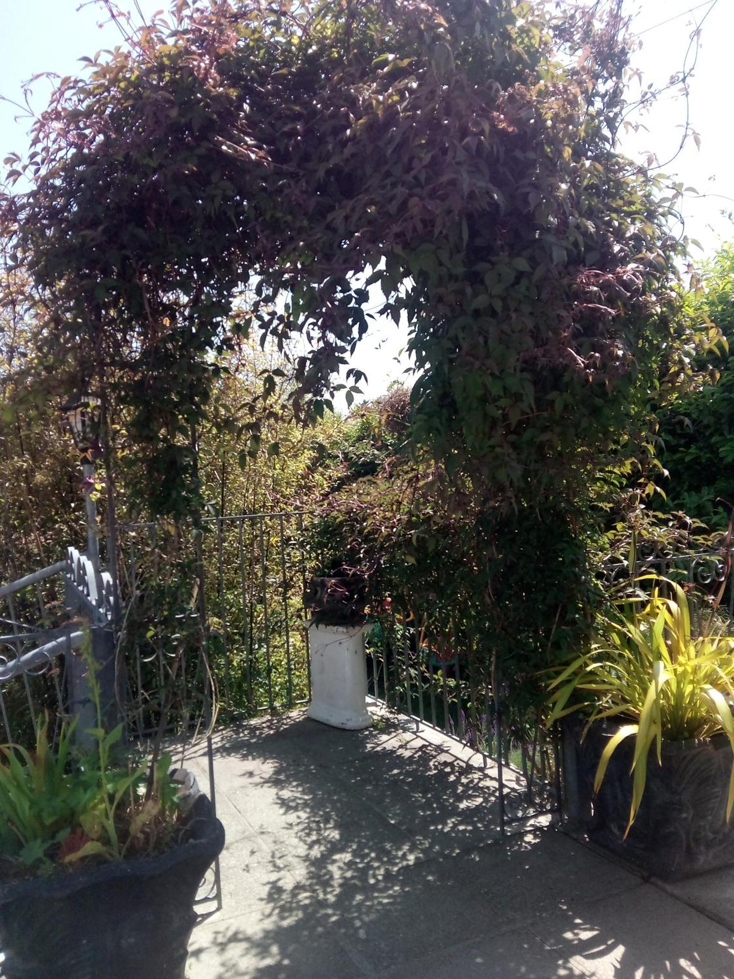 Melrose Bed And Breakfast Clonakilty Exterior foto